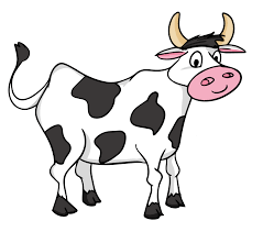 درمان اندومتریت رحمی در گاو چیست؟